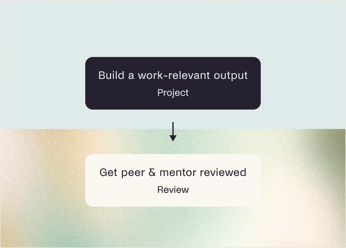 Project reviews
